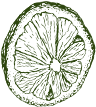 lime_1